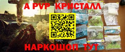 дмт Тара