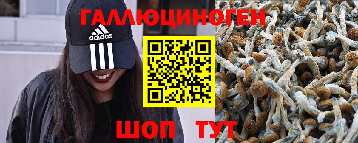 Надым  Псилоцибиновые грибы мицелий  Галлюциногенные грибы мухоморы  Вход с VPN 